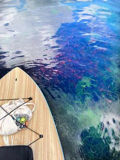 Exploring Florida's Clearest Springs: Paddle Boarding on Rainbow River Natural Springs In Florida, Springs In Florida, Underwater Caves