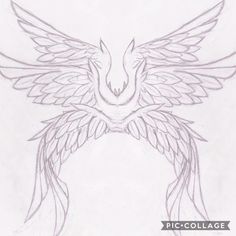 a pencil drawing of a bird with wings on it's back and the words piccolllage written below