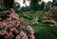 a woman is standing in the middle of a garden with pink and white flowers on it