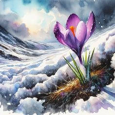 a painting of two purple flowers in the snow