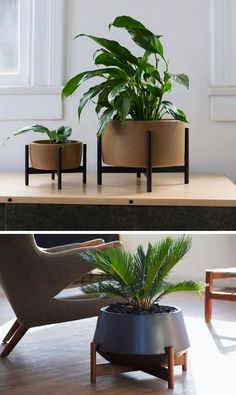 two planters sitting on top of a wooden table