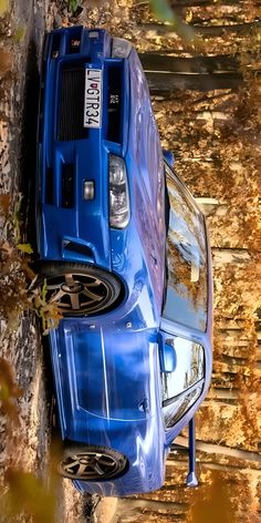 a blue car parked on the side of a tree