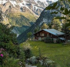 there is a cabin in the mountains with stairs leading up to it and flowers growing on the grass