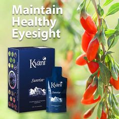 Vision Loss, Wellness Company, Age 50, Product Pictures, Mental Wellness, Science And Nature, Omega 3