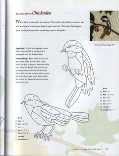 an open book showing instructions on how to make a bird ornament with pictures of birds