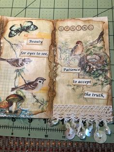 an open book with birds and butterflies on it, next to a ruler that says beauty for eyes to see patience to accept the truth