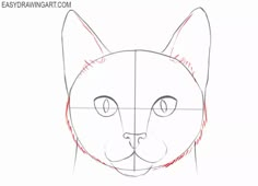 how to draw a cat's face with easy step - by - step instructions