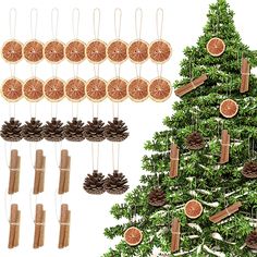 the christmas tree is decorated with oranges and pineconis, which are hung on clothes pins