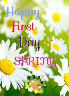 a greeting card with daisies and the words happy first day of spring