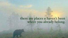 there are places u haven't been where you already belong - bear in fog