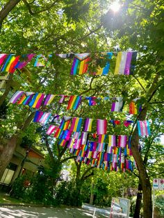 colorful streamers hanging from trees in front of a building with sun shining through the leaves