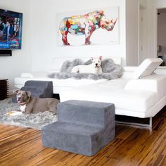 two dogs laying on the floor in front of a large white couch with grey footstools