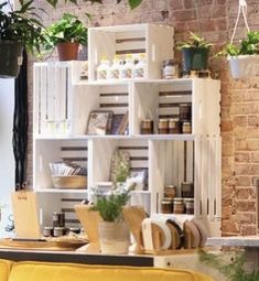 a living room filled with furniture and lots of plants