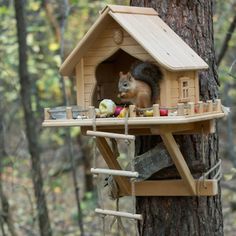 a squirrel in a tree house with food on the table and other items around it