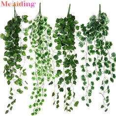 four different types of plants hanging from the side of a white wall, each with green leaves