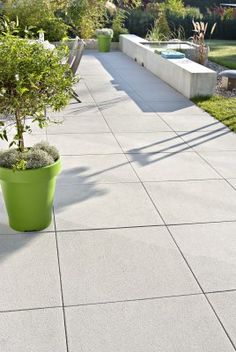 a green potted plant sitting on top of a cement patio