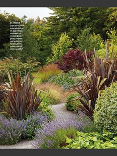 a garden with lots of different types of plants and flowers in it's borders