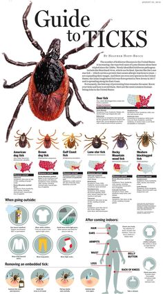 a poster showing the different types of ticks and how to get ridding them