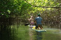 two people are paddling in the water on surfboards