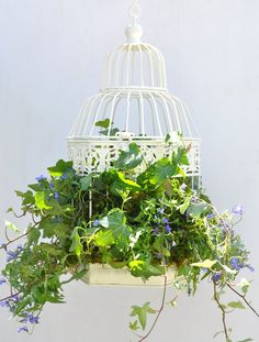 a white birdcage filled with green plants and purple flowers hanging from it's side