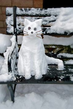 a white cat sitting on top of a bench covered in snow