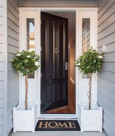 two potted plants sit on the front porch of a house with black door and white trim