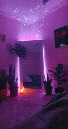 a room with some plants and lights in the ceiling, while another plant is on the floor