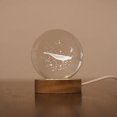 a clear glass ball with white stars and an airplane in it on a wooden base