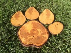 an animal paw print made out of wood on the grass in front of some green grass