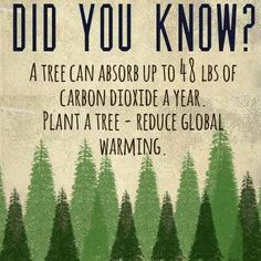 a poster with an image of trees and the words did you know? on it