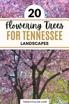 flowering trees with text overlay reading 20 flowering trees for tennessee landscapes