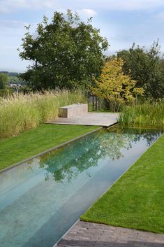 an empty pool surrounded by grass and trees