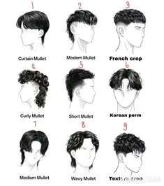 Hair Types Male, Male Haircuts For Curly Hair, Guys Haircuts Names, Fluffy Hair Cuts For Boys, Short Hair Male Haircuts, Names Of Haircuts Men, Short Hairstyles For Trans Men, Hairstyles Names Mens, School Photos Hair