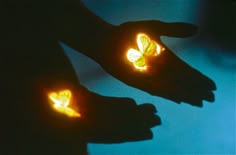 two yellow butterflies glow in the dark with their wings spread out, and they appear to be glowing