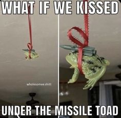 two pictures of a frog hanging from a red ribbon with the caption, what if we kissed under the missile toad?