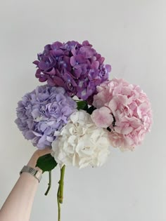 a hand holding a bouquet of purple and white hydrangeas in front of a white wall