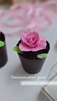 two cupcakes decorated with pink flowers and green leaves