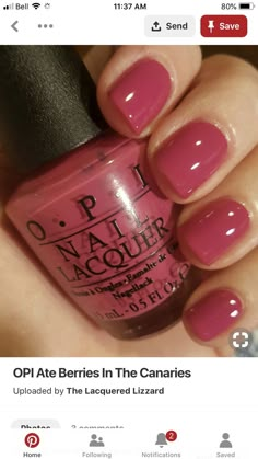 Opi Medi Take It All In, Best Pedicure Colors, Nextgen Nails, Pleated Wide Leg Pants, Opi Nail Polish, Polish Colors