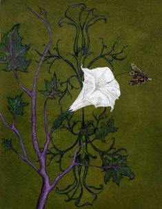 a painting of a white flower on top of a purple tree branch with a green background