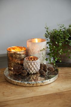 three candles are sitting on a tray with pine cones and other decorations around it,