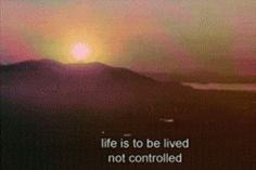 a blurry photo with the sun setting in the background and an inspirational quote on it