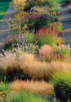 an area with many different types of flowers and grass