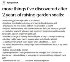 an article about the two years of raising garden snails