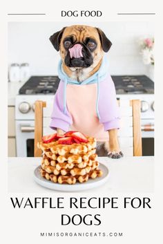 a dog sitting at a table with waffles in front of it and the words waffle recipe for dogs