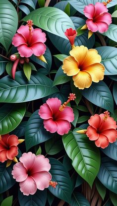 Free Printable Pattern: Tropical Jungle Blossoms Printable Patterns, Nature Lovers, Pattern Art, Nature Lover, Free Printable, Free Printables, Free Pattern, Blossom, Scrapbooking