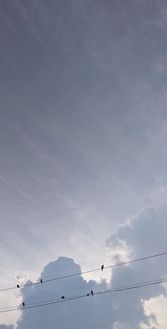 birds are sitting on wires in the sky