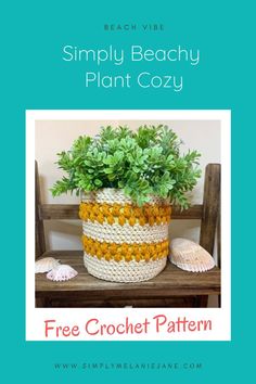 a potted plant sitting on top of a wooden bench next to a sea shell