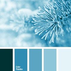 a blue color palette with white snowflakes