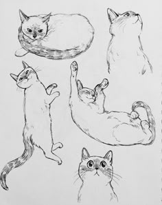 a drawing of four cats in different positions