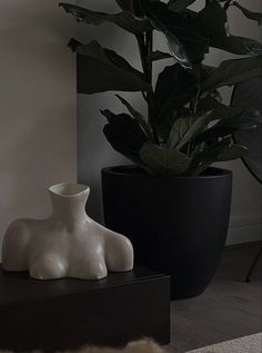 a white vase sitting on top of a table next to a black potted plant